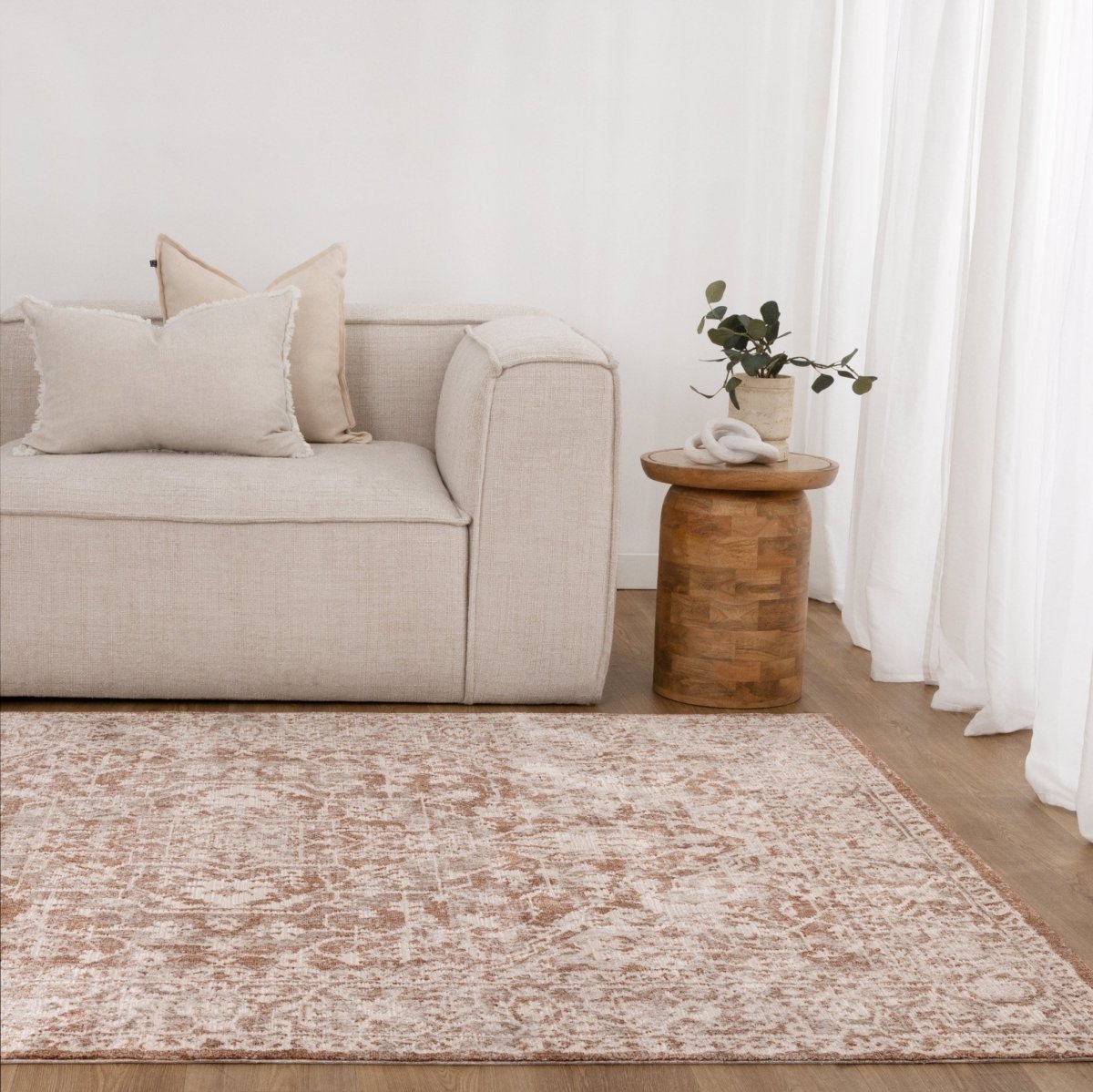 Ayra Beige & Rust Distressed Vintage Rug